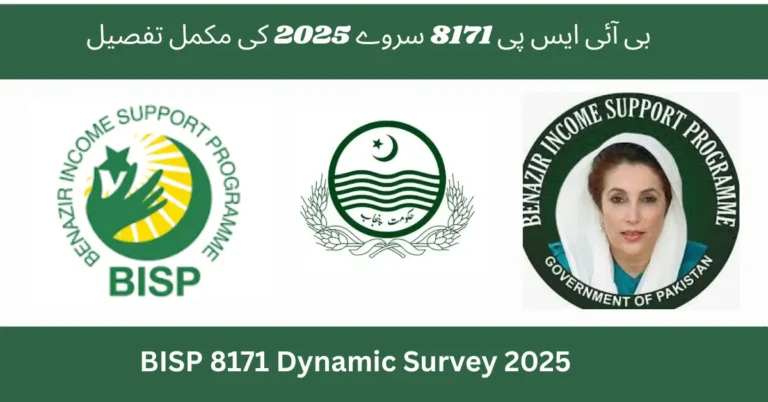 BISP 8171 Dynamic Survey 2025