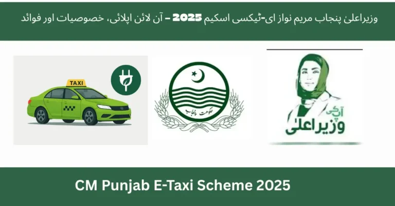CM Punjab E-Taxi Scheme 2025