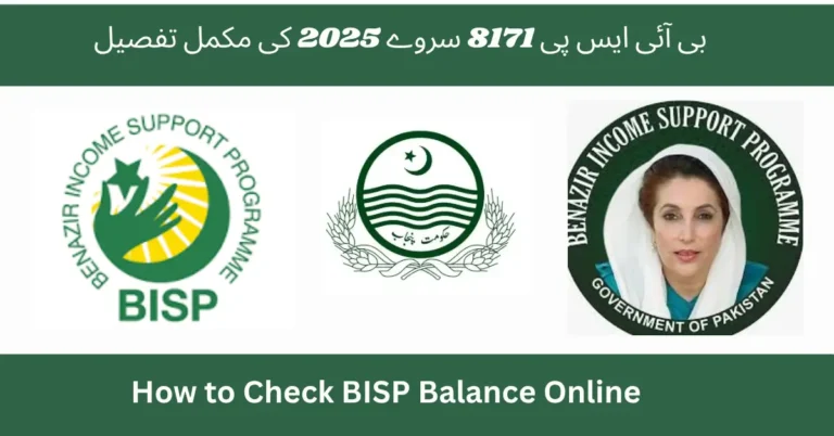 How to Check BISP Balance Online July 2025 CNIC & Portal Guide